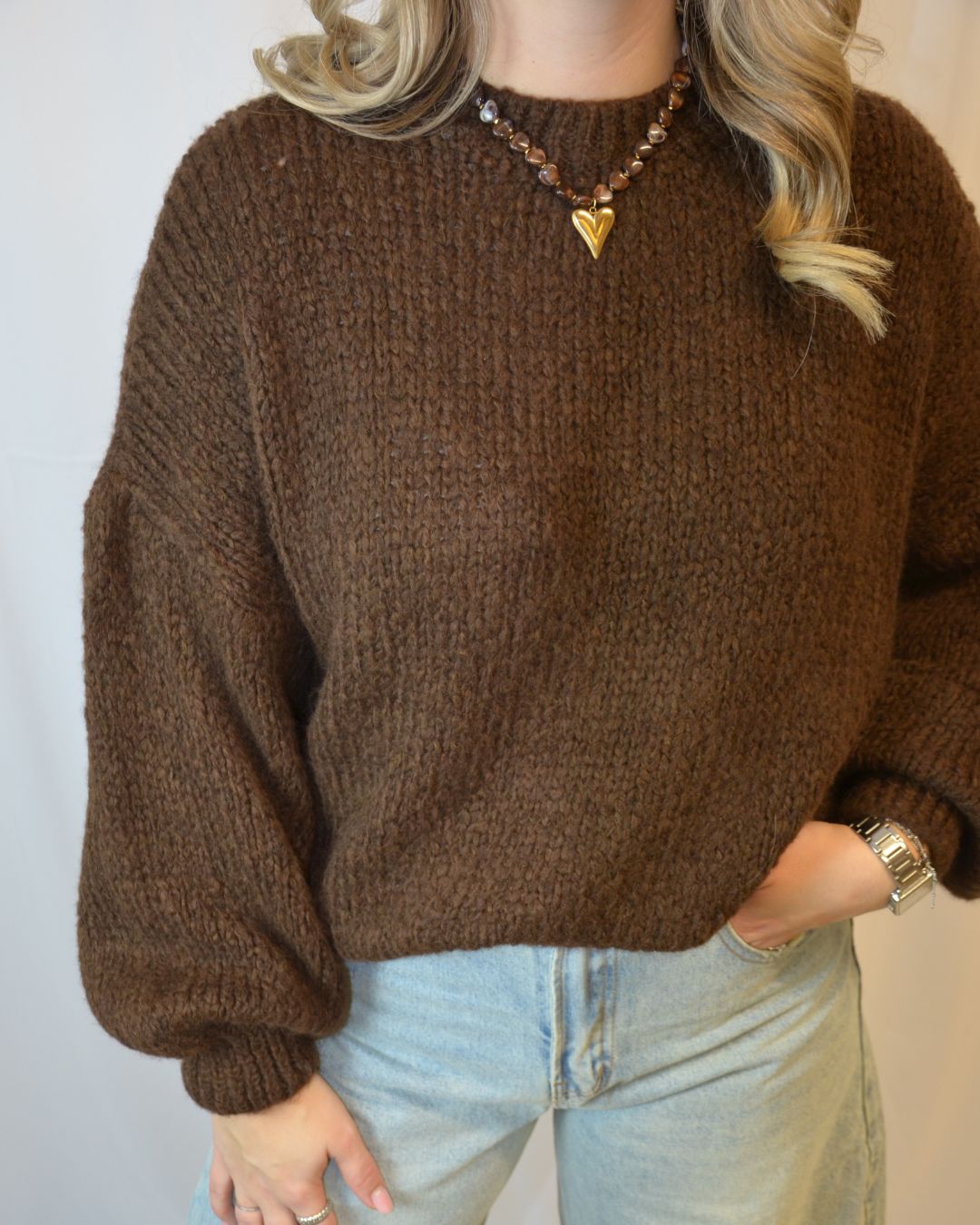 Fay trui bruin